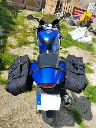 Triumph Daytona 955i