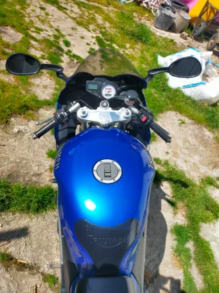 Triumph Daytona 955i