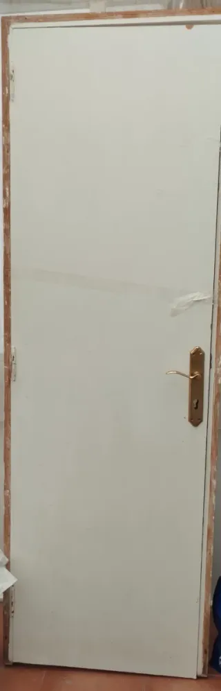 Puerta interior blanca con manilla dorada