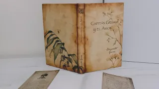 LIBRO "FAIRY OAK: CAPITÁN GRISAM Y EL AMOR".