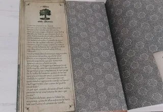 LIBRO "FAIRY OAK: CAPITÁN GRISAM Y EL AMOR".