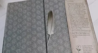 LIBRO "FAIRY OAK: CAPITÁN GRISAM Y EL AMOR".