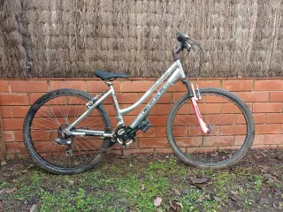 Bicicleta Montaña Adulto Antigua