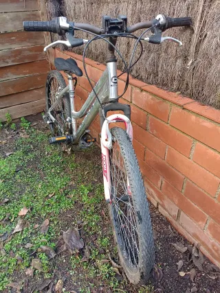 Bicicleta Montaña Adulto Antigua