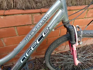 Bicicleta Montaña Adulto Antigua