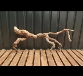 Raíz/tronco Decoración acuario OFERTA SOLO HOY!