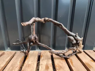 Raíz de madera para acuario