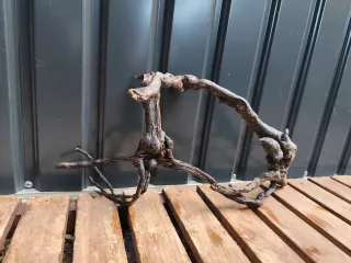 Raíz de madera para acuario