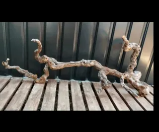 Raíz/tronco Decoración acuario OFERTA SOLO HOY!