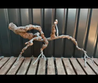 Raíz/tronco Decoración acuario OFERTA SOLO HOY!