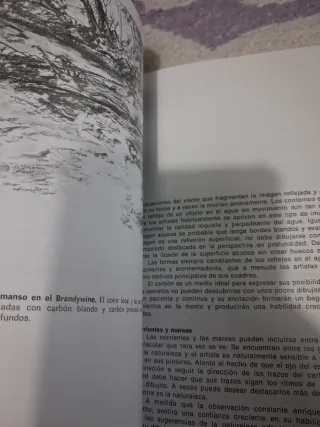 Dibujando al carbón