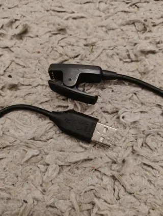 Cargador y Correa Garmin Forerunner 35 Gris