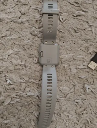 Cargador y Correa Garmin Forerunner 35 Gris