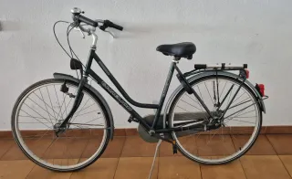 Bicicleta Camelion