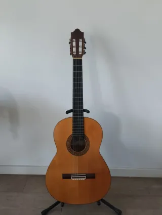 Guitarra flamenca.