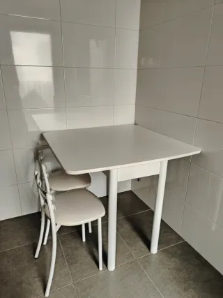 Mesa plegable y 2 sillas