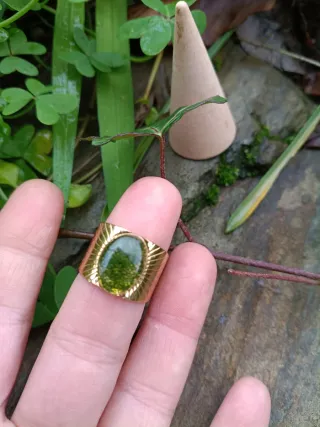 Anillo musgo natural encapsulado ajustable