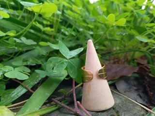 Anillo musgo natural encapsulado ajustable