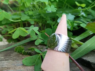 Anillo ajustable musgo natural encapsulado