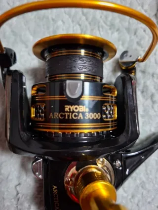 OFERTA Ryobi Artica 3000