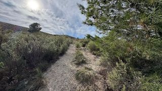 Terreno en venta en Gualchos pueblo en Gualchos