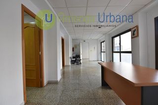 Oficina en alquiler en El Pla de Sant Josep - L'Asil en Elche