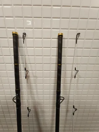 Conjunto de pesca surfcasting Akami