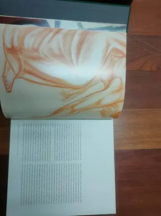 Libro Colección de Pintura Banco Urquijo