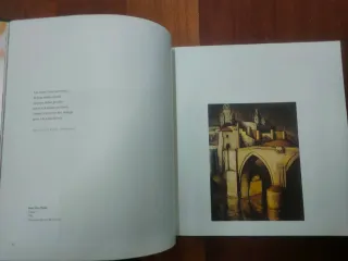Libro Colección de Pintura Banco Urquijo