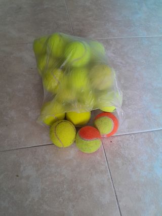 24 pelotas de Tenis