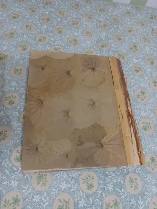 Álbum de fotos artesanal