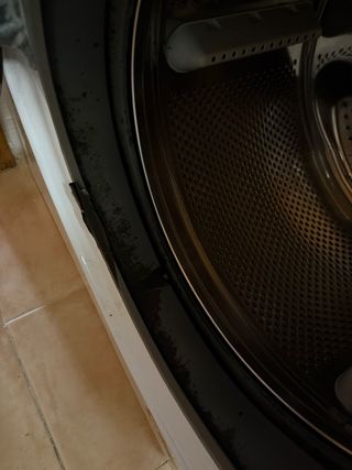 Lavadora Whirlpool 8kg Steam Inverter Motor