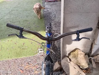 Bicicleta Monty 219 Alp Trial