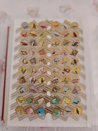 Vitolas Wilhem II: Aves, Serie Completa 288