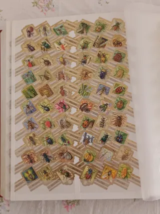 Vitolas Wilhem II Serie Insectos,  308 vitolas