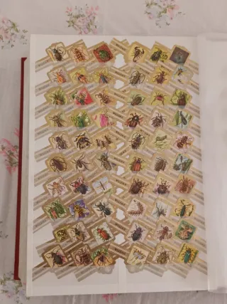 Vitolas Wilhem II Serie Insectos,  308 vitolas