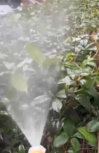 Idropulitrice a pressione 2 Batterie 48V Nuova