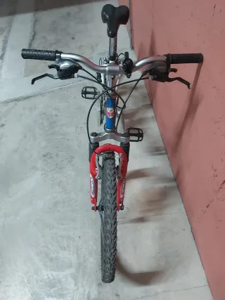 Bicicleta infantil talla 20