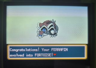 Pokemon Evolved Game Boy Advance Nintendo