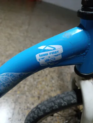 Bicicleta infantil azul 20 pulgadas