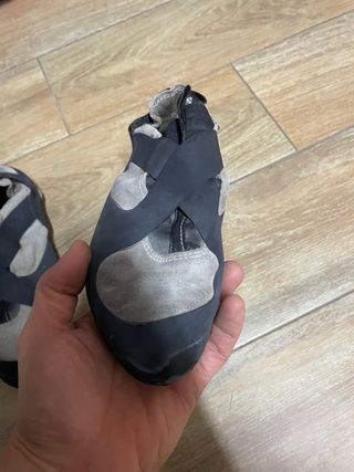 Pies de gato Millet n42