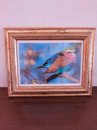 Cornice dorata con uccello colorato