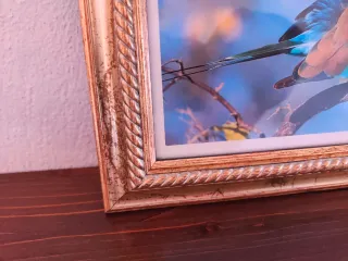 Cornice dorata con uccello colorato