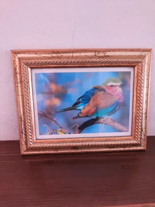 Cornice dorata con uccello colorato