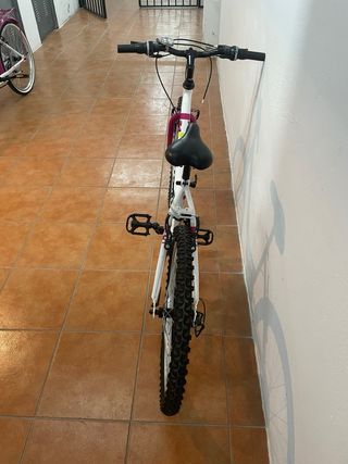 Bicicleta de montaña Denbike 24