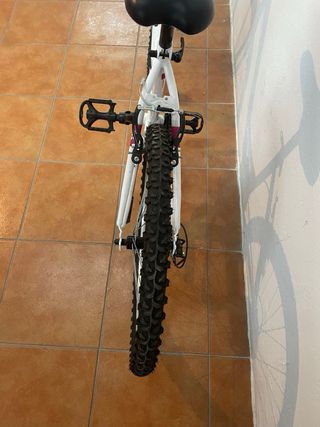 Bicicleta de montaña Denbike 24