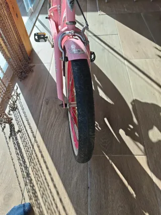 Bicicleta Electra Niña 20 Rosa