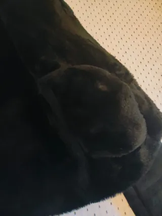 Chaqueta pelo Pull&Bear negra