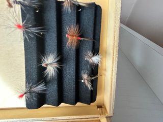 Caña de pesca Truchas Punta Vara Fija