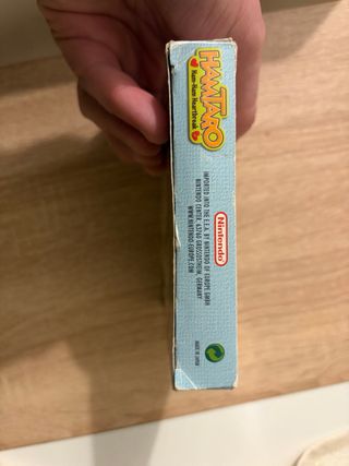 Hamtaro: Ham-Ham Heartbreak GBA